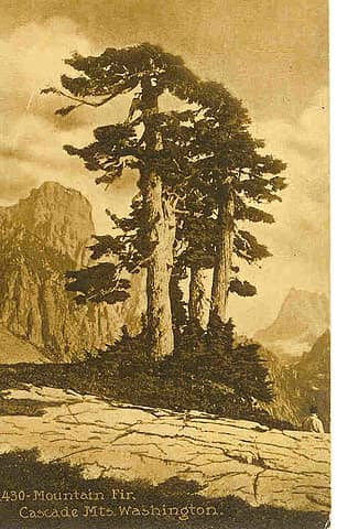 Cascade Mountains 1912
