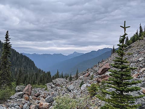 Yellow Aster Butte and Tomyhoi