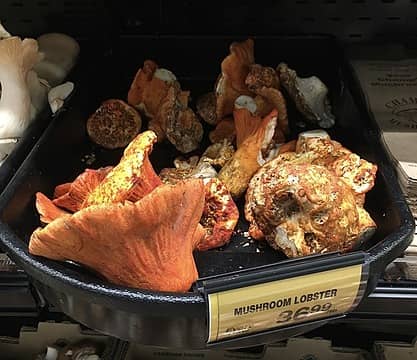 Lobster Mushroom (Safeway 09/21/21 $36.99/pound)