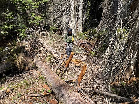 less obvious log crossing