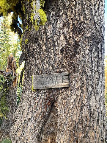 Old mile post on the Pyarmid trail.