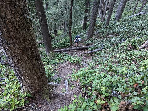 Climbing the steep Green Ridge Trail