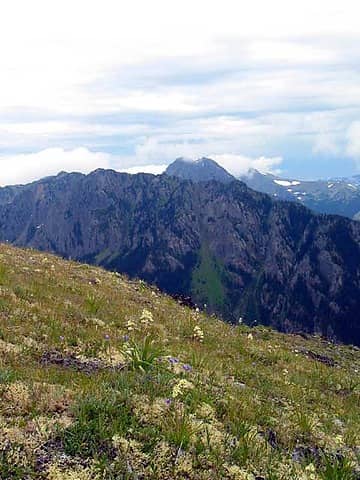Hillside of Mt. Townsend