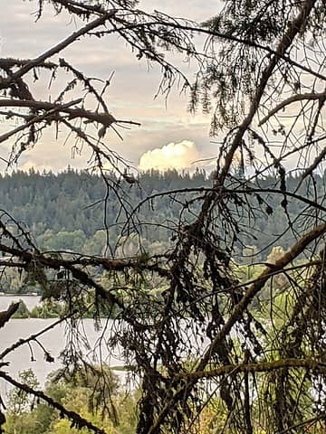 Digitally zoomed phone pic looking NE from Lake Sammamish. Not sure what fire this is.