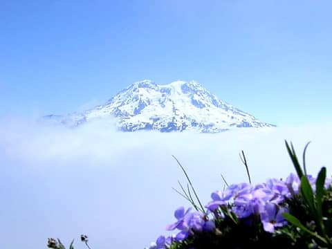 Rainier emerges from the fog as seen from Glacier View