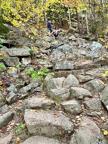 the "trail" up Gorham Mtn. (Cadillac Cliffs)(ip)