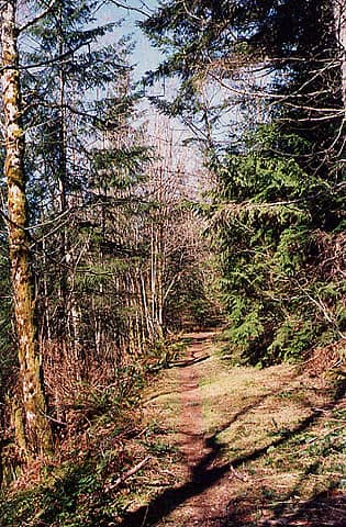 Wallace Lake Trail