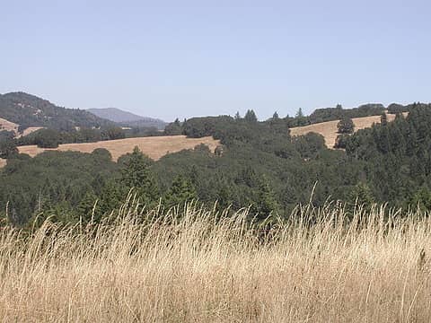 Prarie and Oak habitat inland from Redwoods