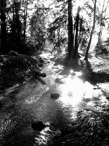 Longfellow Creek black and white